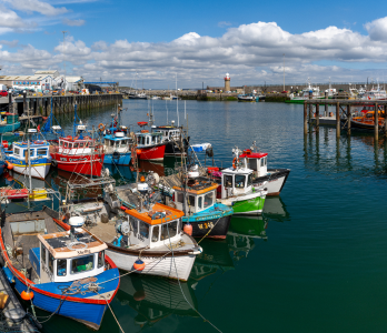 Fisheries Engagement